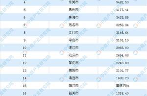 2019年广东省21地市GDP排行榜