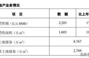 中国建筑地产业务：销售额（备查资料）