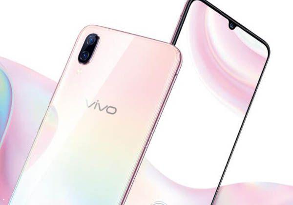 vivo