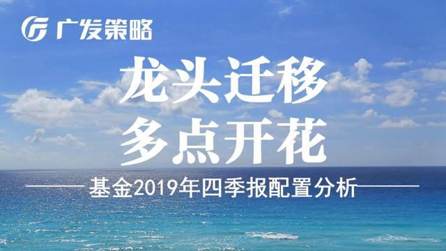 「广发策略」龙头迁移，多点开花——基金19年四季报配置分析