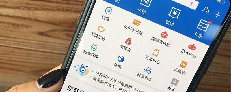 支付宝百胜咨询是消费了什么